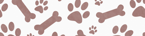 Petsgiving 2024