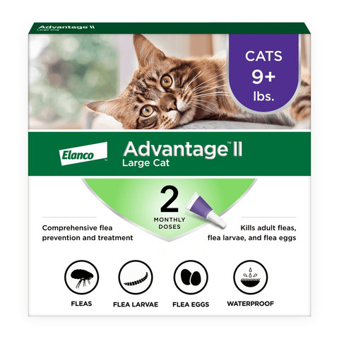 Elanco Advantage II large cat comprehensive flea prevention and treatment box of a 2 month supply, on a white background