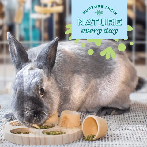 Oxbow Flower Cone Treat Hanger Small Pet