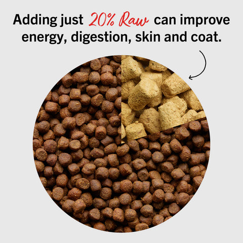 Stella & Chewy's Meal Mixers Tantalizing Turkey Recipe dog treat topper in a resealable bag, featuring raw turkey ingredients.