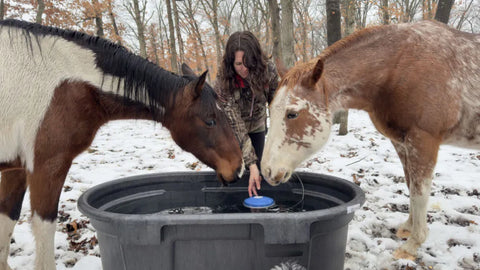 Farm Innovators floating plastic tank de-icer with 1250 watt heating element for pond or livestock water tanks.