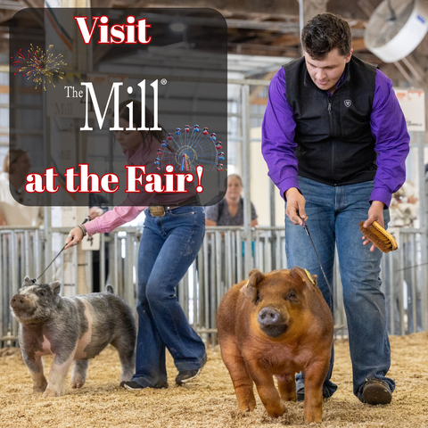 Maryland State Fair