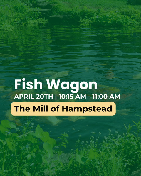 Promotional flyer for 'Fish Wagon' event at The Mill of Hampstead with a green overlay.