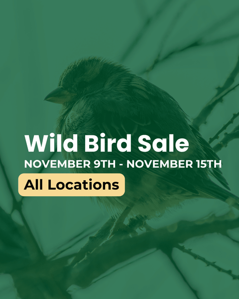 Promo flyer for wild bird sale at all mill locations