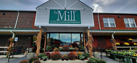 The Mill of Salisbury