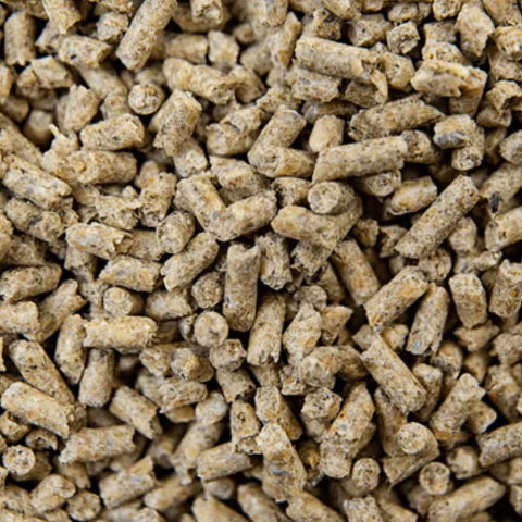 BUCKEYE™ Nutrition GRO ‘N WIN™ Horse Feed