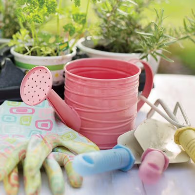 Watering can, shovel and gloves