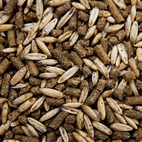 BUCKEYE™ Nutrition Growth Textured Sweet Horse Feed