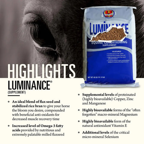 Hallway Luminance Horse Feed