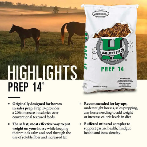 Hallway Feeds Prep 14 Horse Feed
