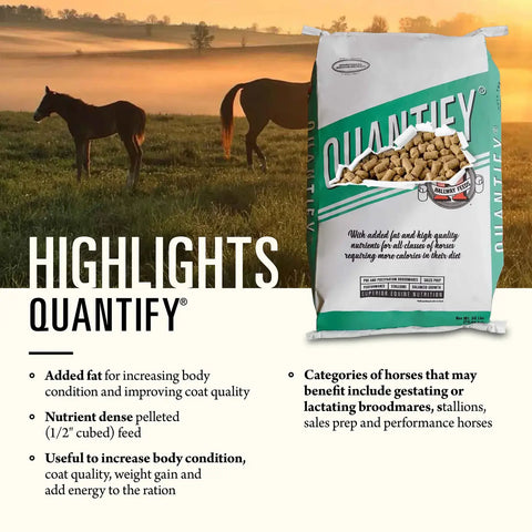 Hallway Feeds Quantify Horse Feed
