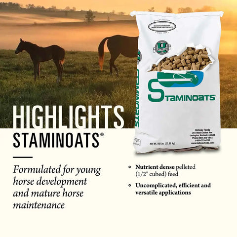 Hallway Staminoats Horse Feed