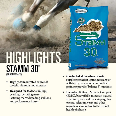 Hallway Feeds Stamm 30 Horse Feed
