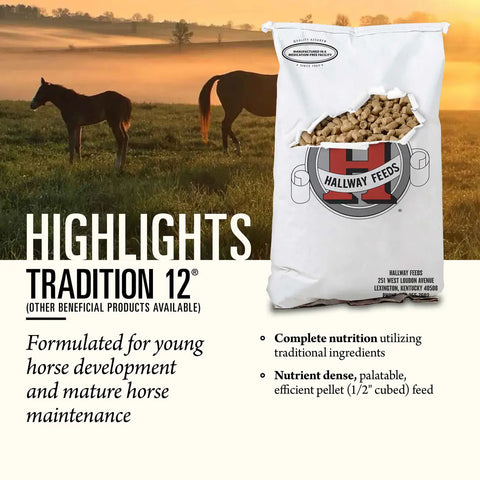 Hallway Feeds Tradition 12 Horse Feed