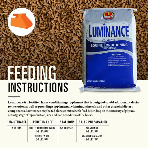 Hallway Luminance Horse Feed
