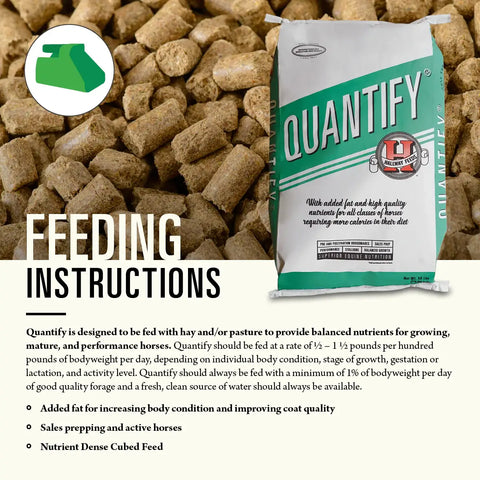 Hallway Feeds Quantify Horse Feed