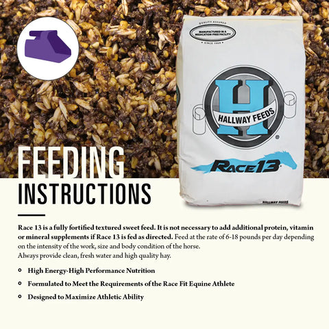 Hallway Feeds Race 13 Horse Feed