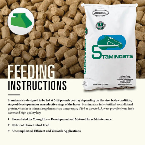 Hallway Staminoats Horse Feed