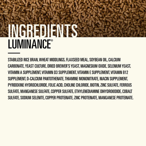 Hallway Luminance Horse Feed