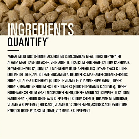 Hallway Feeds Quantify Horse Feed