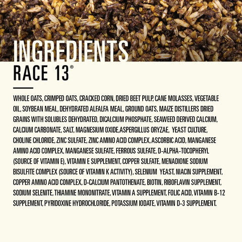 Hallway Feeds Race 13 Horse Feed