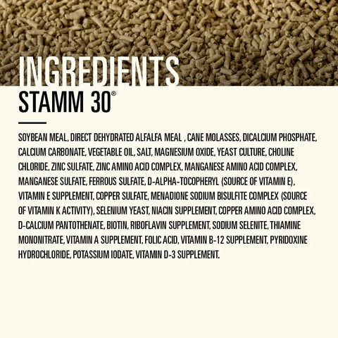 Hallway Feeds Stamm 30 Horse Feed