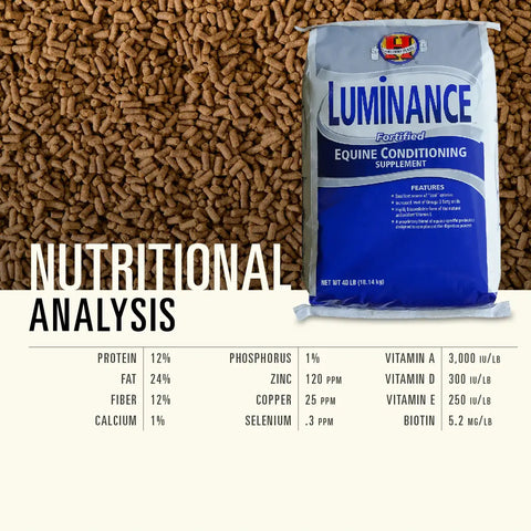 Hallway Luminance Horse Feed