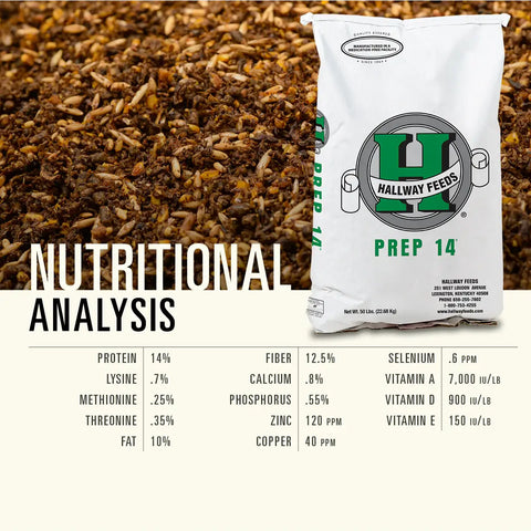 Hallway Feeds Prep 14 Horse Feed