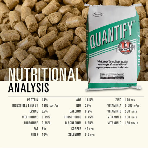 Hallway Feeds Quantify Horse Feed