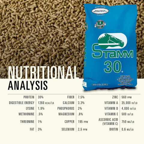 Hallway Feeds Stamm 30 Horse Feed