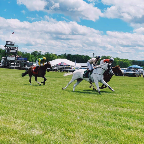 Horse Steeplechase