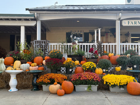 Fall Decorating Made Simple