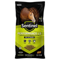 Kent Feeds Sentinel Performance LS horse feed in a 50 lb bag, showing the colorful packaging and product label.