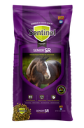 Blue Seal Sentinel Senior Horse Feed bag showing the front packaging with product details and branding for senior horses.