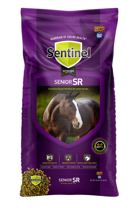 Blue Seal Sentinel Senior Horse Feed bag showing the front packaging with product details and branding for senior horses.