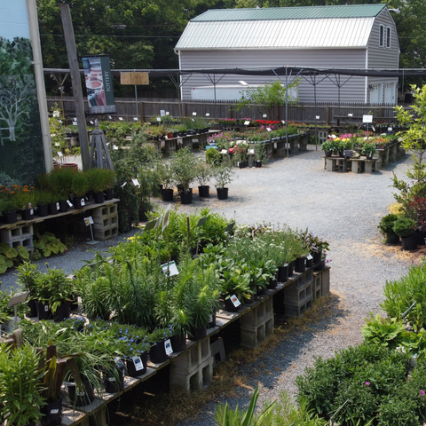 KT Garden Center Overlook