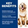 Hill’s Science Diet Adult Perfect Weight chicken and brown rice dry dog food in a bag, designed for maintaining a healthy weight.