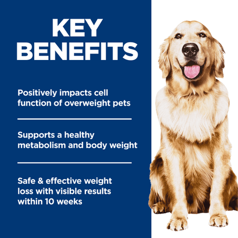 Hill’s Science Diet Adult Perfect Weight chicken and brown rice dry dog food in a bag, designed for maintaining a healthy weight.