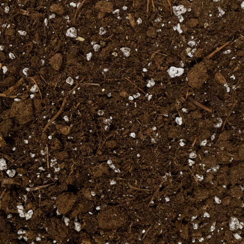 Lambert All Purpose Soil