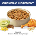 Bag of Hill's Science Diet Adult Chicken & Barley Recipe Dry Dog Food with a scoop of kibble and a dog in the background.