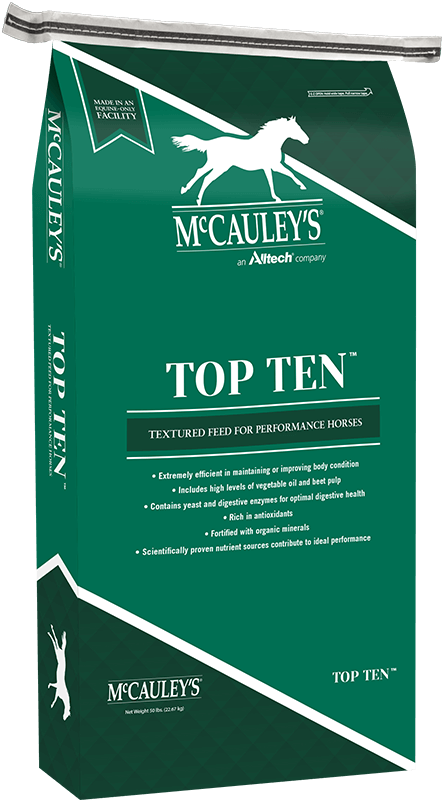 McCauley's Top Ten Bag