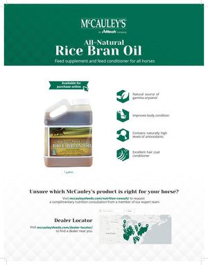 Rice bran oil sale sheet