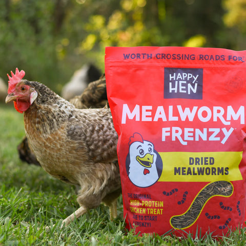 Happy Hen Mealworm Frenzy Dried Mealworms, 30 oz