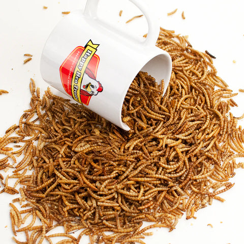 White mug with a brand logo spilling out of it onto a pile of brown worms on a white background