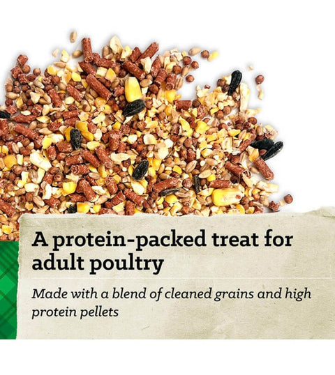 Nutrena Hi Pro Scratch Grains Chicken Treat