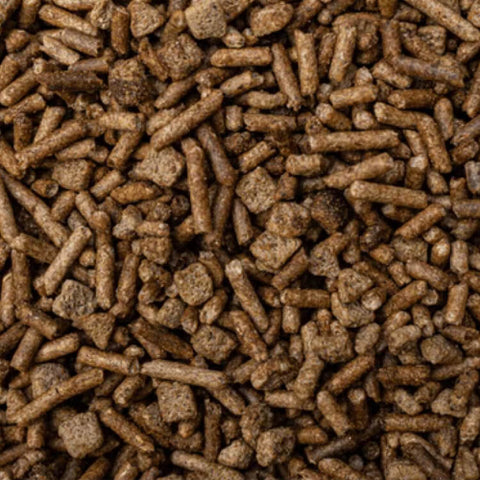 BUCKEYE™ Nutrition EQ8™ Senior Horse Feed