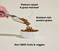 Open Farm Grass-Fed Beef and Ancient Grains Dog Food