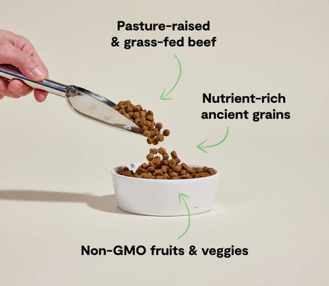 Open Farm Grass-Fed Beef and Ancient Grains Dog Food