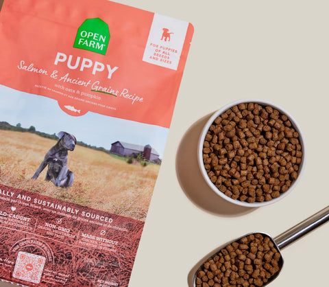Open Farm Salm and Ancient Grains Puppy Food 22lb.