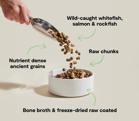Open Farm RawMix Wild Ocean Dog Food